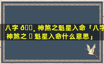 八字 🌸 神煞之魁星入命「八字神煞之 ☘ 魁星入命什么意思」